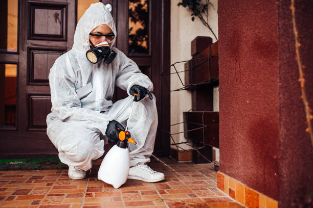 Reliable Wasp Removal contractor in Cochran, GA by Show Me Pest Control